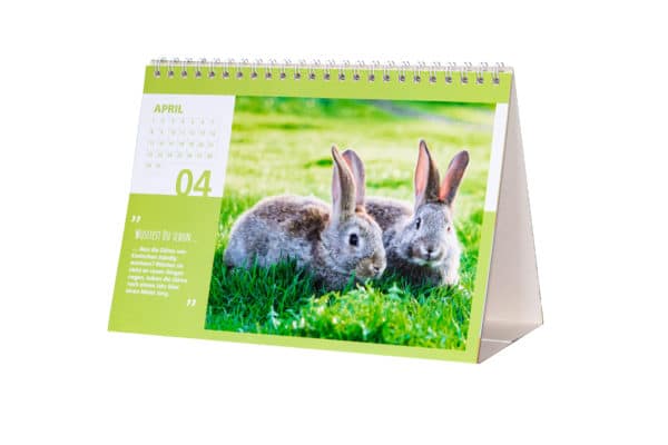 kalender-bauernhoftiere